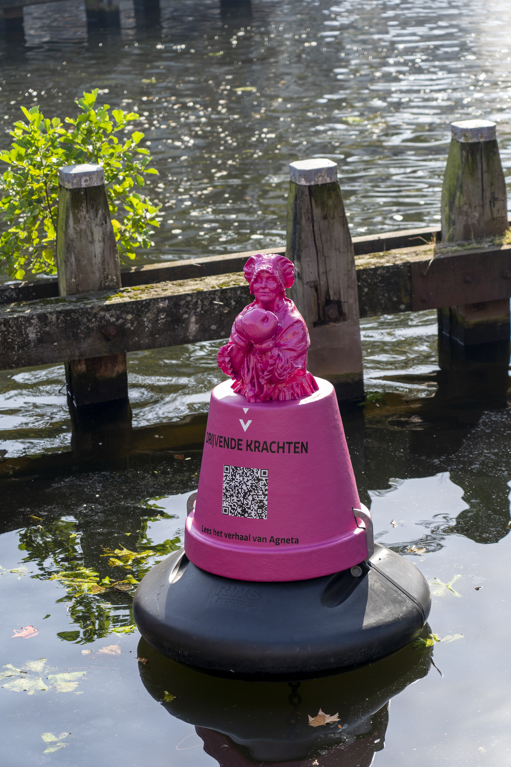 drijvende krachten roze staand
