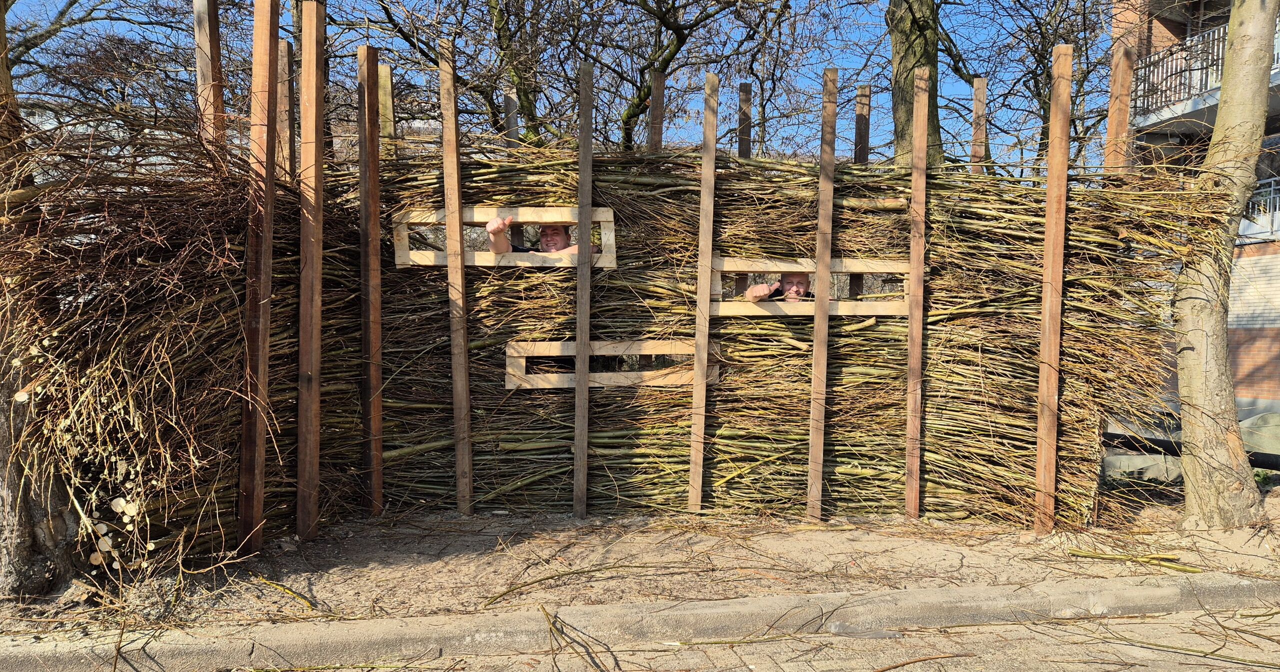 ijsvogelwand