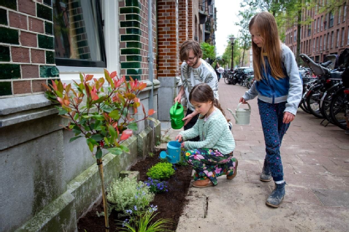 kinderen geven planten in geveltuin water