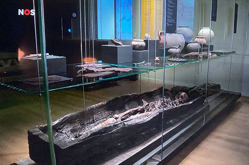 Boomkistman in vitrine in het museum